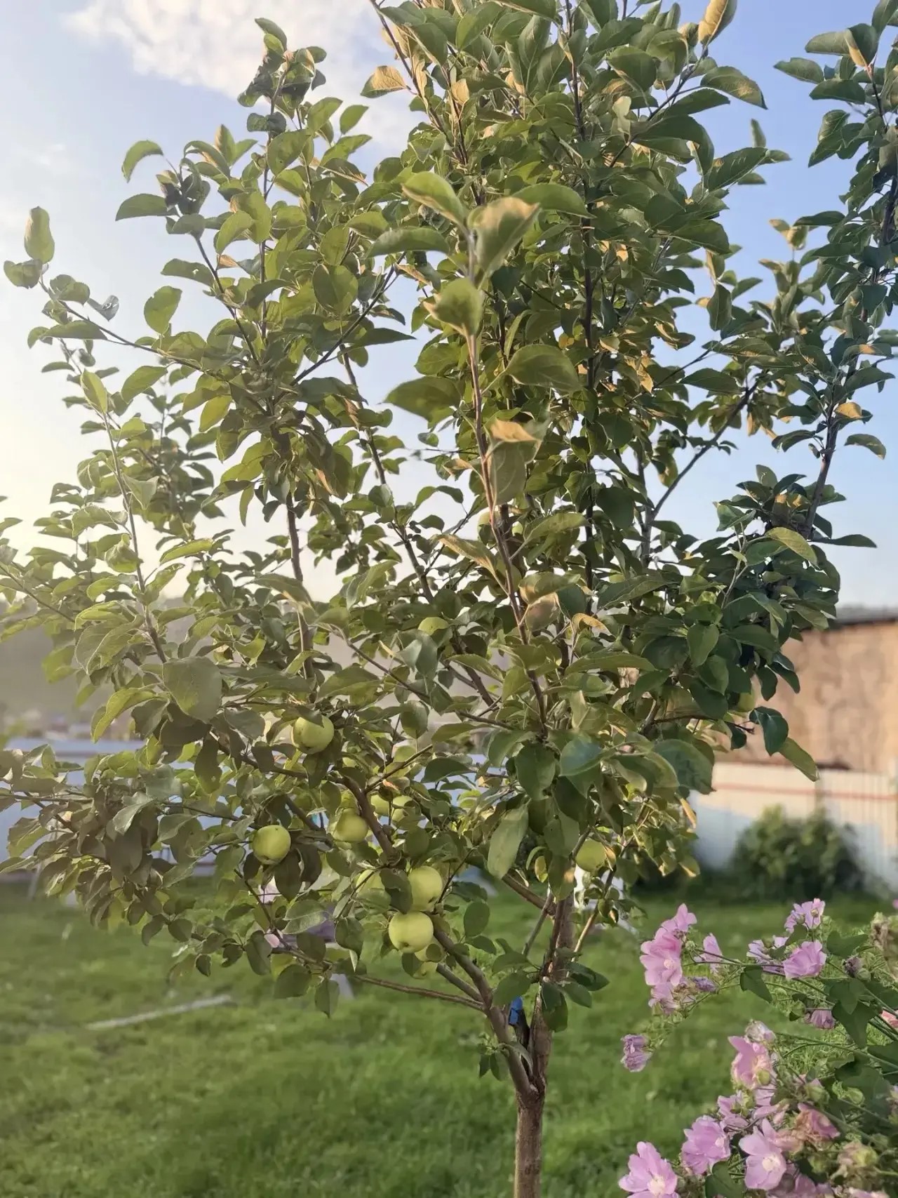 Дом в Кульметьево
